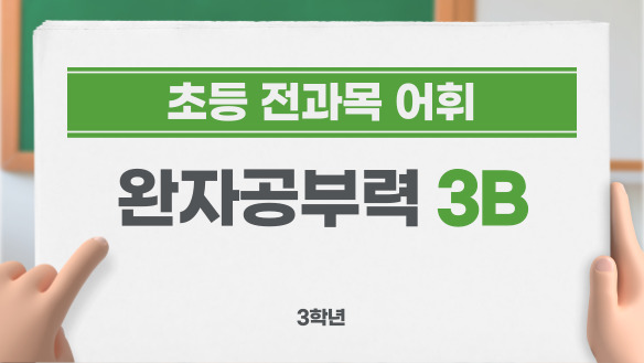 (초등 전과목 어휘) 완자공부력 3B - 3학년