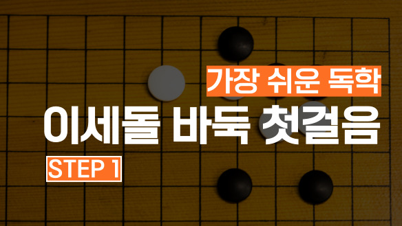 가장 쉬운 독학 이세돌 바둑 첫걸음 step1